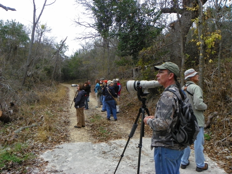 100_3577 (800x600).jpg - TLAS birders photographed by Elaine Horton